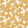 Daydream Blossom in Golden - Wandering