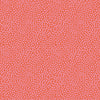 COMING SOON: Confetti in Coral - Wandering
