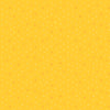 Citrus Blast - Be Positive C+S Basics