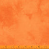 Mandarin Orange | Palette by Marcia Derse