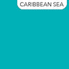 Colorworks Solids | 670 Caribbean Sea