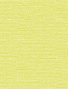 Moonscape- Endive
