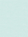 Moonscape | Mint